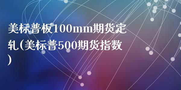美标普板100mm期货定轧(美标普500期货指数)_https://www.zztgc.com_原油期货_第1张