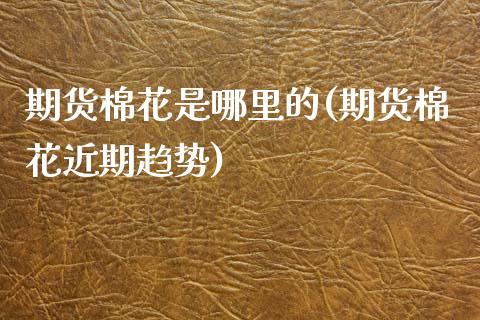 期货棉花是哪里的(期货棉花近期趋势)_https://www.zztgc.com_黄金期货_第1张