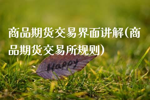 商品期货交易界面讲解(商品期货交易所规则)_https://www.zztgc.com_期货开户_第1张