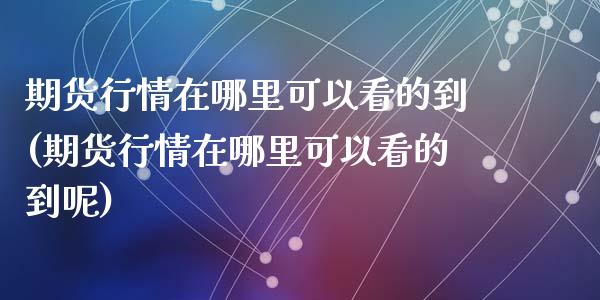 期货行情在哪里可以看的到(期货行情在哪里可以看的到呢)_https://www.zztgc.com_期货行情_第1张
