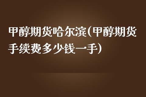 甲醇期货哈尔滨(甲醇期货手续费多少钱一手)_https://www.zztgc.com_期货入门_第1张