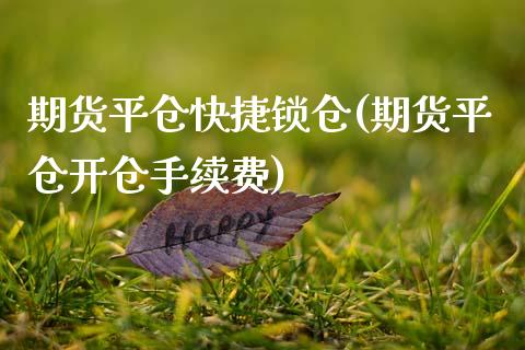 期货平仓快捷锁仓(期货平仓开仓手续费)_https://www.zztgc.com_期货直播_第1张