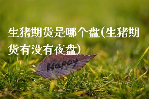 生猪期货是哪个盘(生猪期货有没有夜盘)_https://www.zztgc.com_期货入门_第1张
