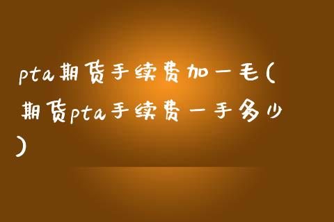 pta期货手续费加一毛(期货pta手续费一手多少)_https://www.zztgc.com_期货开户_第1张