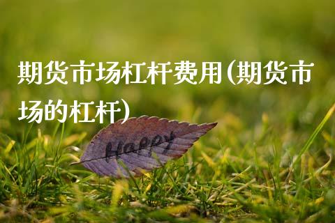 期货市场杠杆费用(期货市场的杠杆)_https://www.zztgc.com_期货直播_第1张