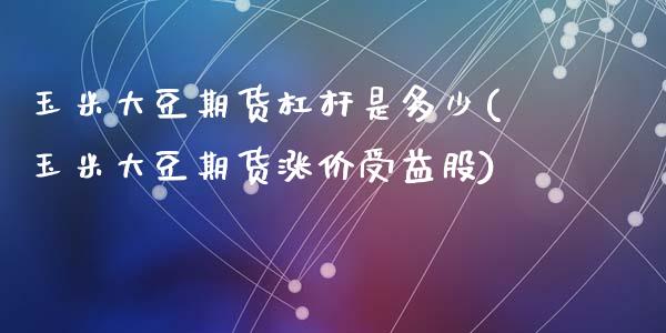 玉米大豆期货杠杆是多少(玉米大豆期货涨价受益股)_https://www.zztgc.com_原油期货_第1张