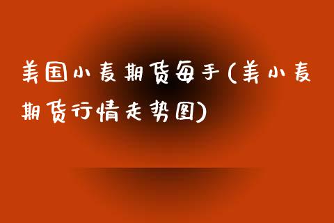 美国小麦期货每手(美小麦期货行情走势图)_https://www.zztgc.com_期货入门_第1张