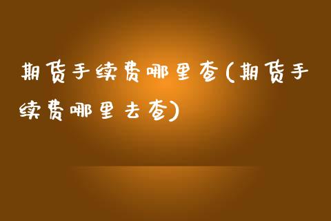 期货手续费哪里查(期货手续费哪里去查)_https://www.zztgc.com_原油期货_第1张