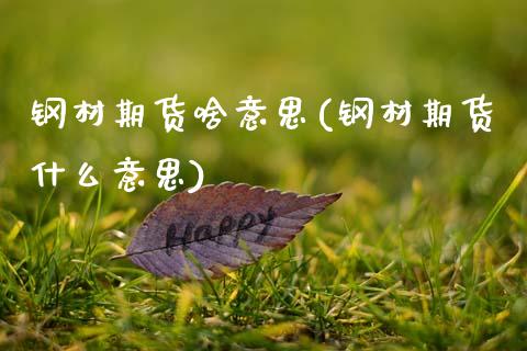 钢材期货啥意思(钢材期货什么意思)_https://www.zztgc.com_期货直播_第1张