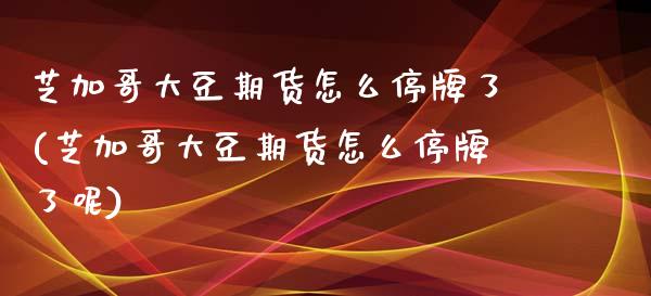 芝加哥大豆期货怎么停牌了(芝加哥大豆期货怎么停牌了呢)_https://www.zztgc.com_黄金期货_第1张