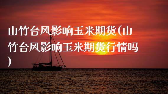 山竹台风影响玉米期货(山竹台风影响玉米期货行情吗)_https://www.zztgc.com_期货直播_第1张