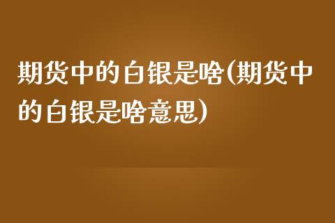 期货中的白银是啥(期货中的白银是啥意思)_https://www.zztgc.com_期货入门_第1张