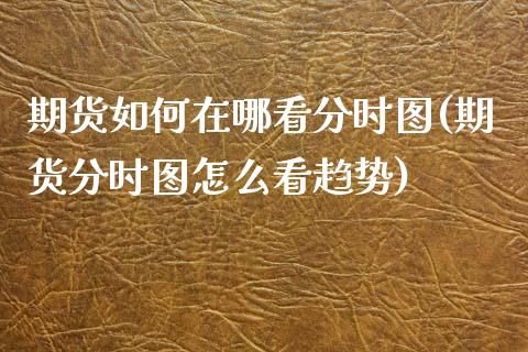 期货如何在哪看分时图(期货分时图怎么看趋势)_https://www.zztgc.com_期货行情_第1张