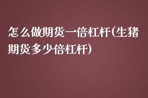怎么做期货一倍杠杆(生猪期货多少倍杠杆)_https://www.zztgc.com_期货开户_第1张