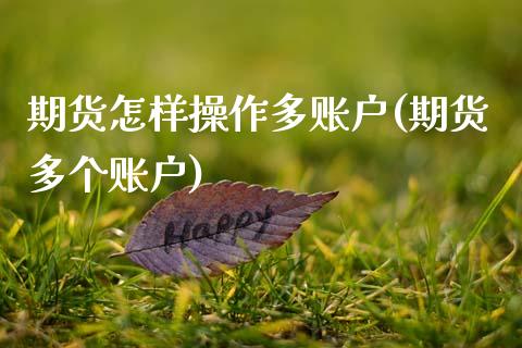 期货怎样操作多账户(期货多个账户)_https://www.zztgc.com_期货入门_第1张