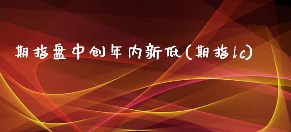期指盘中创年内新低(期指lc)_https://www.zztgc.com_期货入门_第1张