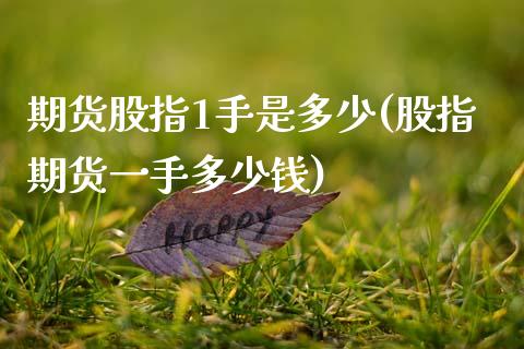 期货股指1手是多少(股指期货一手多少钱)_https://www.zztgc.com_期货行情_第1张