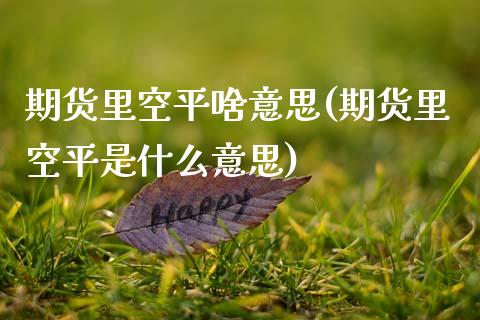 期货里空平啥意思(期货里空平是什么意思)_https://www.zztgc.com_期货行情_第1张