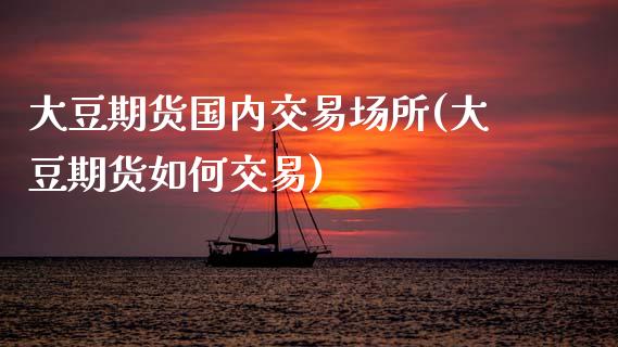 大豆期货国内交易场所(大豆期货如何交易)_https://www.zztgc.com_原油期货_第1张