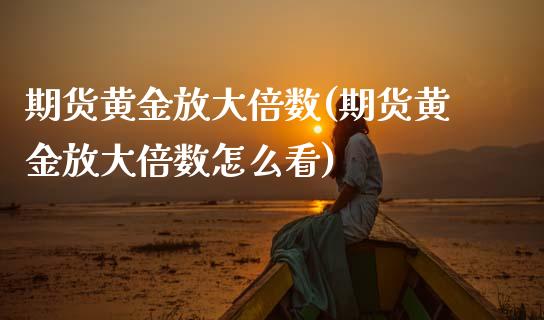 期货黄金放大倍数(期货黄金放大倍数怎么看)_https://www.zztgc.com_原油期货_第1张