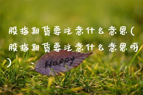 股指期货要注意什么意思(股指期货要注意什么意思呀)_https://www.zztgc.com_原油期货_第1张