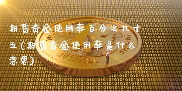 期货资金使用率百分之九十五(期货资金使用率是什么意思)_https://www.zztgc.com_期货入门_第1张