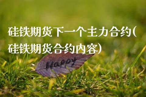 硅铁期货下一个主力合约(硅铁期货合约内容)_https://www.zztgc.com_期货直播_第1张