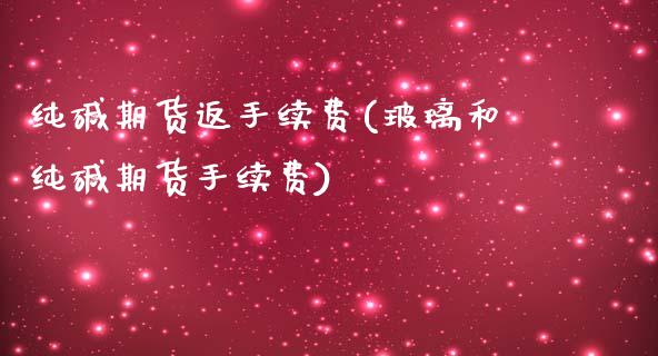 纯碱期货返手续费(玻璃和纯碱期货手续费)_https://www.zztgc.com_期货入门_第1张