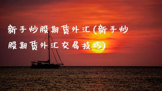 新手炒股期货外汇(新手炒股期货外汇交易技巧)_https://www.zztgc.com_原油期货_第1张