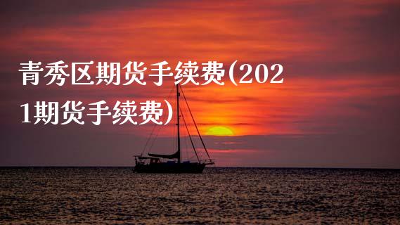 青秀区期货手续费(2021期货手续费)_https://www.zztgc.com_原油期货_第1张