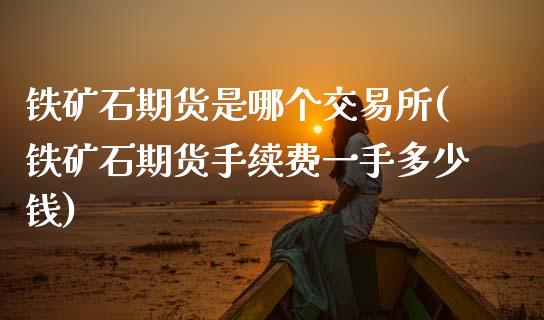 铁矿石期货是哪个交易所(铁矿石期货手续费一手多少钱)_https://www.zztgc.com_黄金期货_第1张