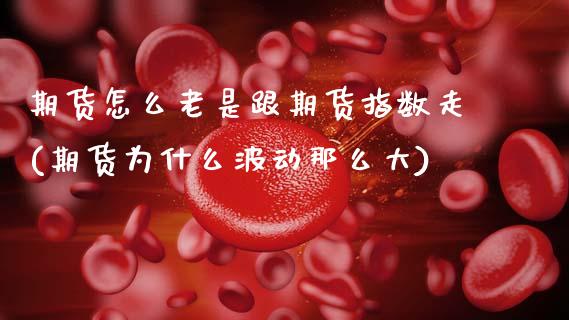 期货怎么老是跟期货指数走(期货为什么波动那么大)_https://www.zztgc.com_黄金期货_第1张