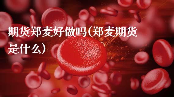 期货郑麦好做吗(郑麦期货是什么)_https://www.zztgc.com_期货直播_第1张