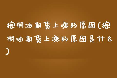 棕榈油期货上涨的原因(棕榈油期货上涨的原因是什么)_https://www.zztgc.com_黄金期货_第1张
