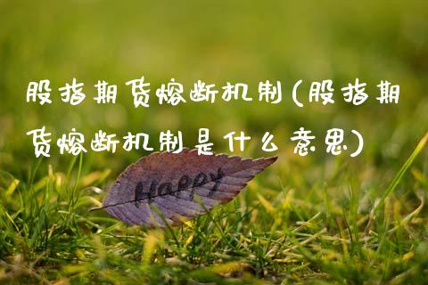 股指期货熔断机制(股指期货熔断机制是什么意思)_https://www.zztgc.com_期货行情_第1张