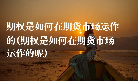 期权是如何在期货市场运作的(期权是如何在期货市场运作的呢)_原油期货_第1张_珍投期货网 期权是如何在期货市场运作的(期权是如何在期货市场运作的呢)_https://www.zztgc.com_原油期货_第1张
