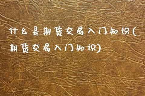 什么是期货交易入门知识(期货交易入门知识)_https://www.zztgc.com_期货行情_第1张