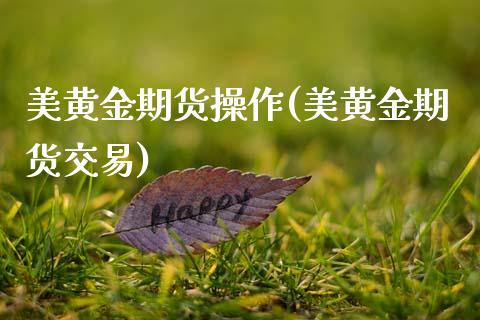美黄金期货操作(美黄金期货交易)_https://www.zztgc.com_原油期货_第1张