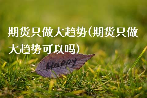 期货只做大趋势(期货只做大趋势可以吗)_https://www.zztgc.com_期货入门_第1张