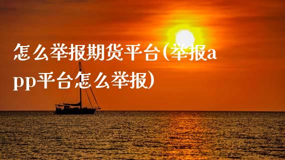 怎么举报期货平台(举报app平台怎么举报)_https://www.zztgc.com_原油期货_第1张