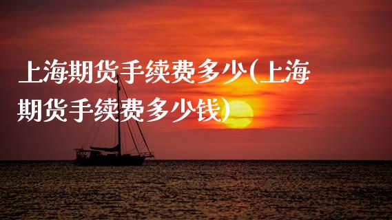 上海期货手续费多少(上海期货手续费多少钱)_https://www.zztgc.com_黄金期货_第1张