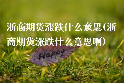 浙商期货涨跌什么意思(浙商期货涨跌什么意思啊)_https://www.zztgc.com_期货入门_第1张