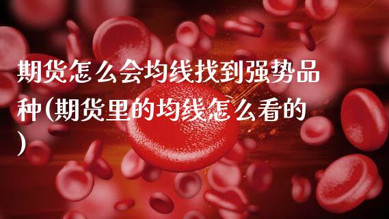 期货怎么会均线找到强势品种(期货里的均线怎么看的)_https://www.zztgc.com_期货行情_第1张