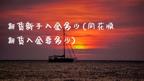 期货新手入金多少(同花顺期货入金要多少)_https://www.zztgc.com_期货直播_第1张