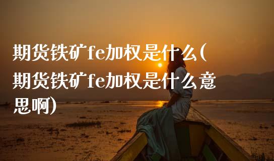 期货铁矿fe加权是什么(期货铁矿fe加权是什么意思啊)_https://www.zztgc.com_黄金期货_第1张