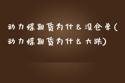 动力煤期货为什么没仓单(动力煤期货为什么大跌)_https://www.zztgc.com_黄金期货_第1张