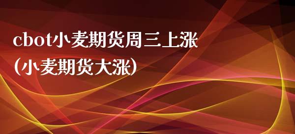 cbot小麦期货周三上涨(小麦期货大涨)_https://www.zztgc.com_期货直播_第1张