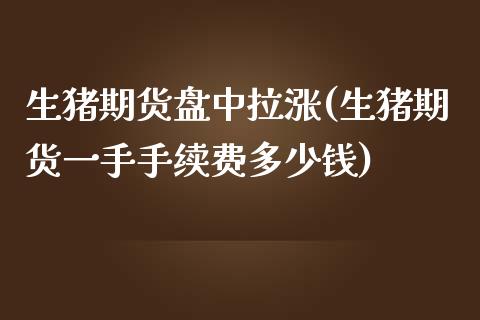生猪期货盘中拉涨(生猪期货一手手续费多少钱)_https://www.zztgc.com_期货入门_第1张