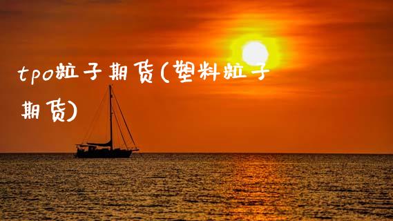 tpo粒子期货(塑料粒子期货)_https://www.zztgc.com_期货入门_第1张