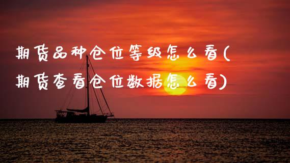 期货品种仓位等级怎么看(期货查看仓位数据怎么看)_https://www.zztgc.com_原油期货_第1张
